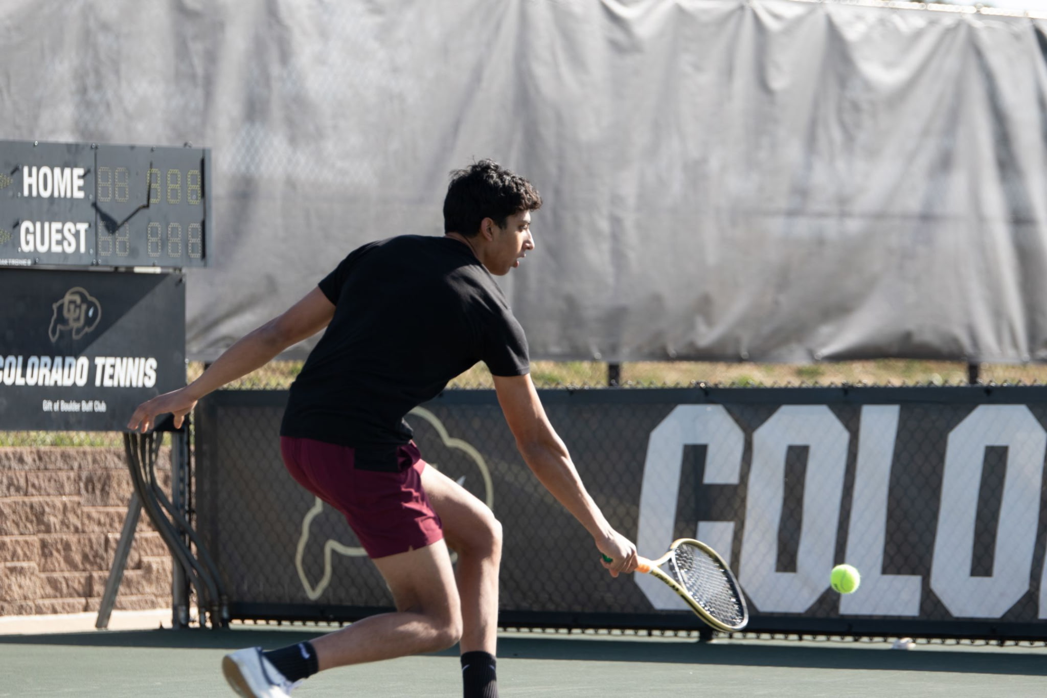 Swift Coaching | Strength & Rehab Programs